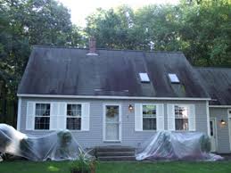 mold, moss, dark stain on roof removal